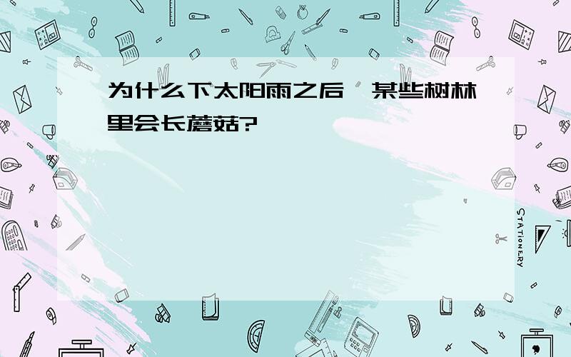 为什么下太阳雨之后,某些树林里会长蘑菇?