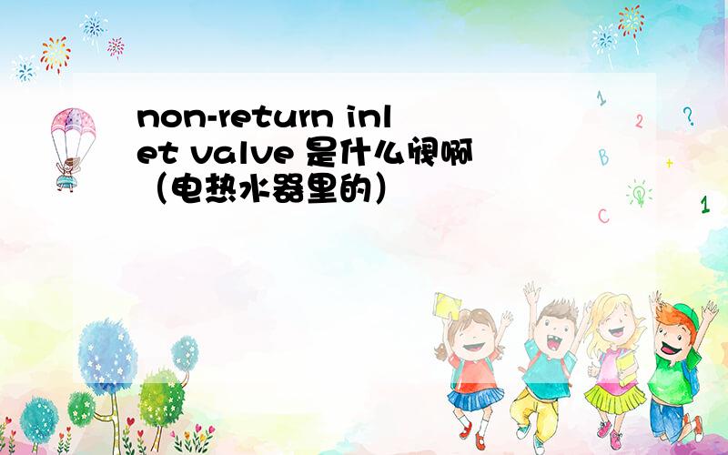 non-return inlet valve 是什么阀啊（电热水器里的）