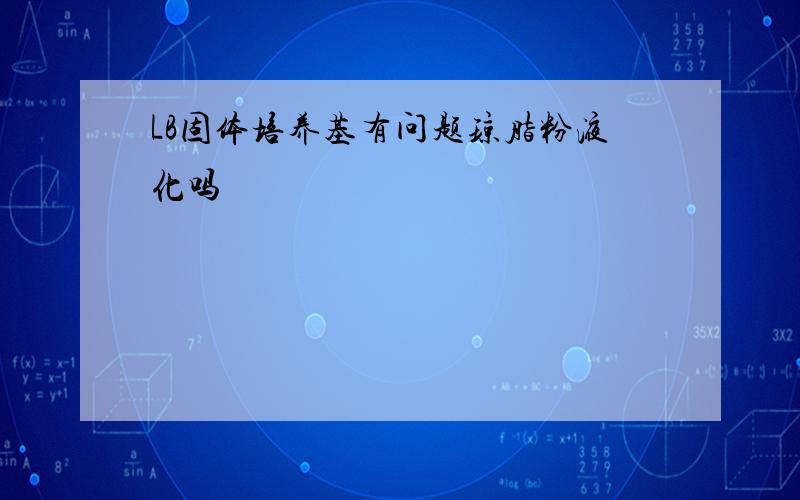 LB固体培养基有问题琼脂粉液化吗