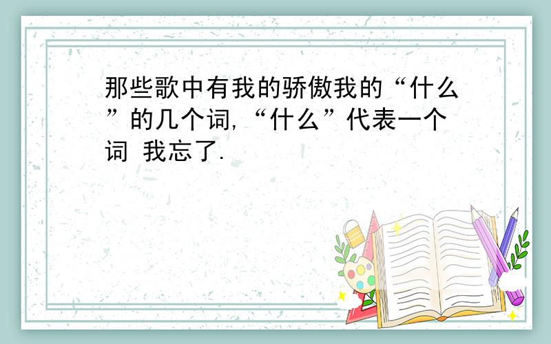 那些歌中有我的骄傲我的“什么”的几个词,“什么”代表一个词 我忘了.