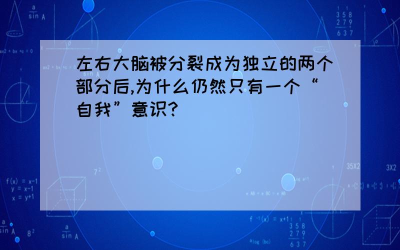 左右大脑被分裂成为独立的两个部分后,为什么仍然只有一个“自我”意识?