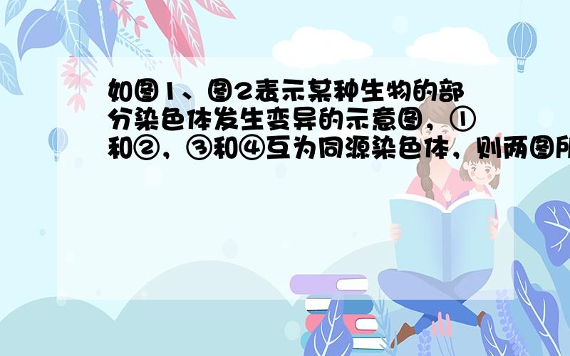 如图1、图2表示某种生物的部分染色体发生变异的示意图，①和②，③和④互为同源染色体，则两图所示的变异（　　）