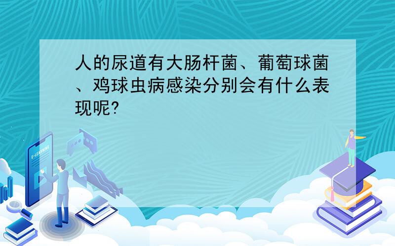 人的尿道有大肠杆菌、葡萄球菌、鸡球虫病感染分别会有什么表现呢?