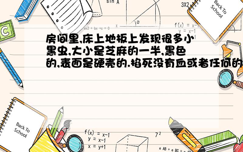 房间里,床上地板上发现很多小黑虫,大小是芝麻的一半,黑色的,表面是硬壳的.掐死没有血或者任何的液体