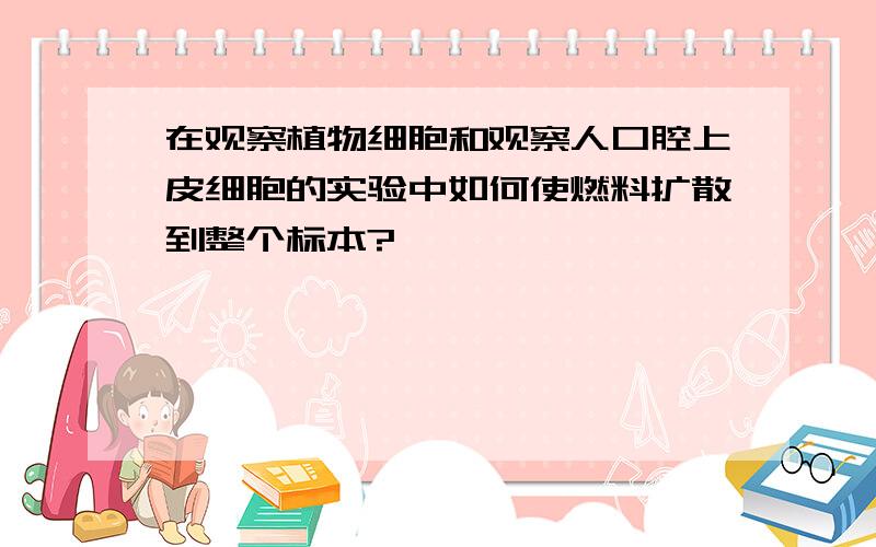 在观察植物细胞和观察人口腔上皮细胞的实验中如何使燃料扩散到整个标本?