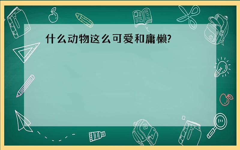 什么动物这么可爱和庸懒?