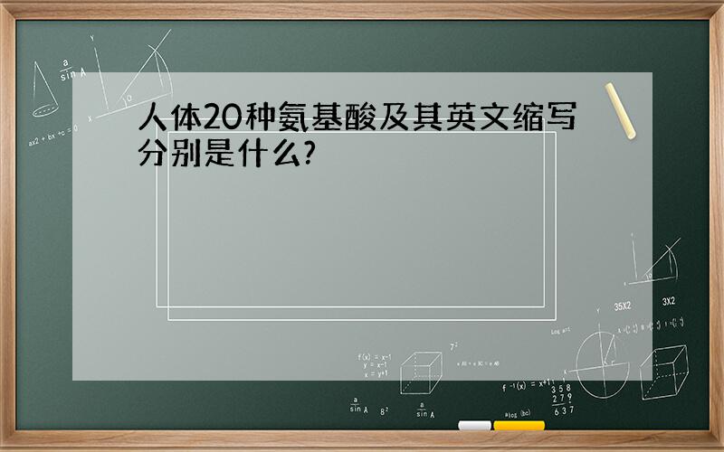 人体20种氨基酸及其英文缩写分别是什么?