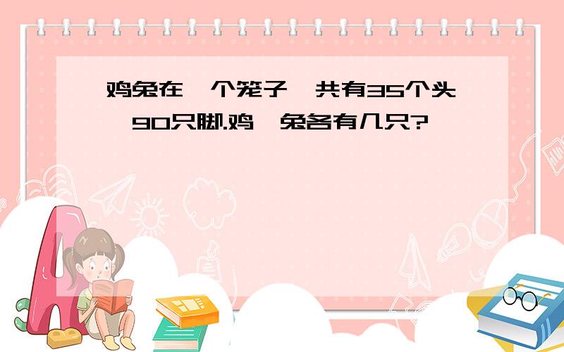 鸡兔在一个笼子,共有35个头,90只脚.鸡、兔各有几只?