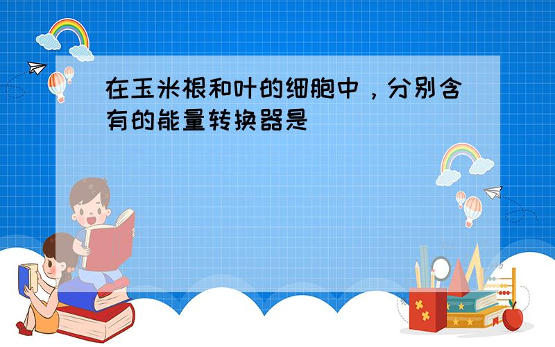 在玉米根和叶的细胞中，分别含有的能量转换器是（　　）