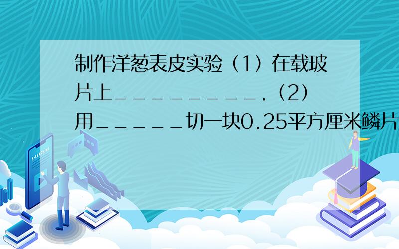 制作洋葱表皮实验（1）在载玻片上________.（2）用_____切一块0.25平方厘米鳞片,用____撕下一层___