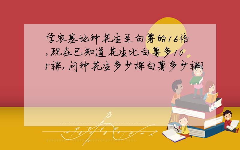 学农基地种花生是白薯的16倍,现在已知道花生比白薯多105棵,问种花生多少棵白薯多少棵?