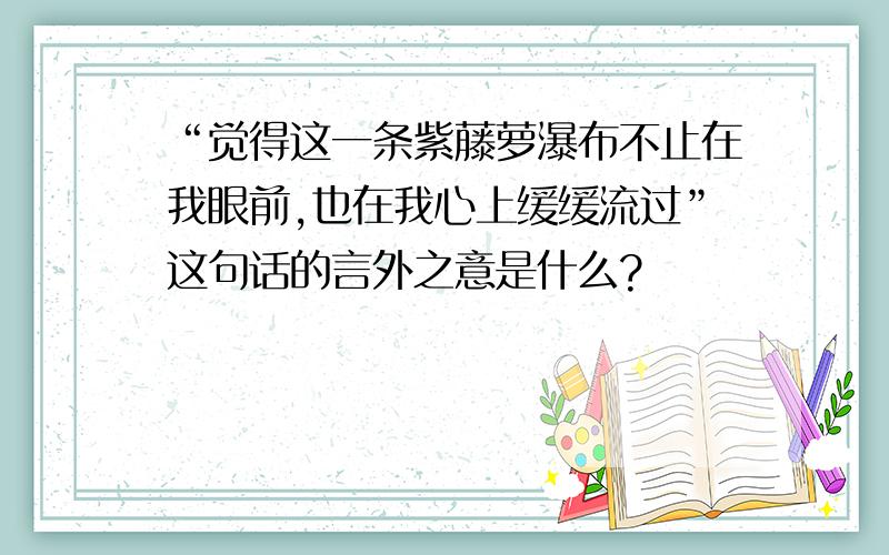 “觉得这一条紫藤萝瀑布不止在我眼前,也在我心上缓缓流过”这句话的言外之意是什么?