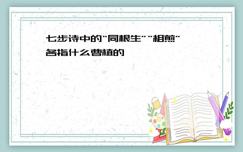 七步诗中的“同根生”“相煎”各指什么曹植的