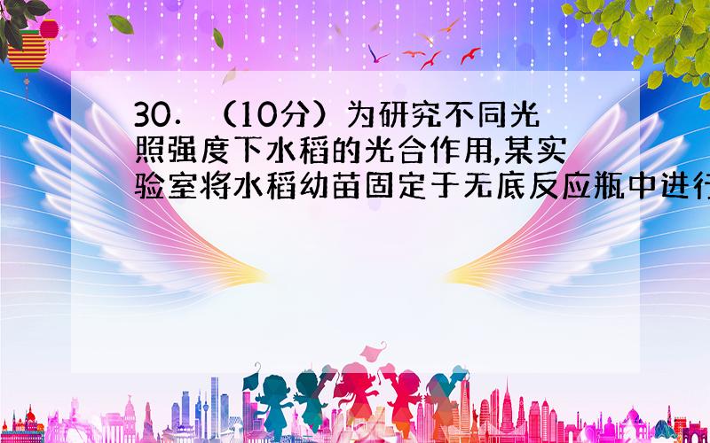 30．（10分）为研究不同光照强度下水稻的光合作用,某实验室将水稻幼苗固定于无底反应瓶中进行实验,实验装置如图一所示.