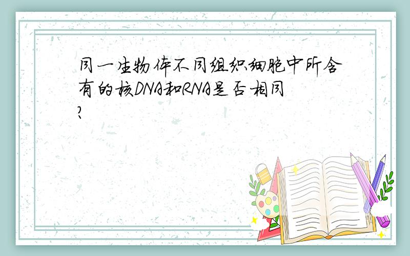 同一生物体不同组织细胞中所含有的核DNA和RNA是否相同?