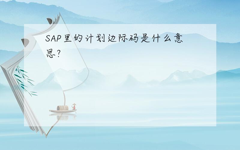 SAP里的计划边际码是什么意思?