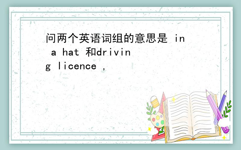 问两个英语词组的意思是 in a hat 和driving licence ,