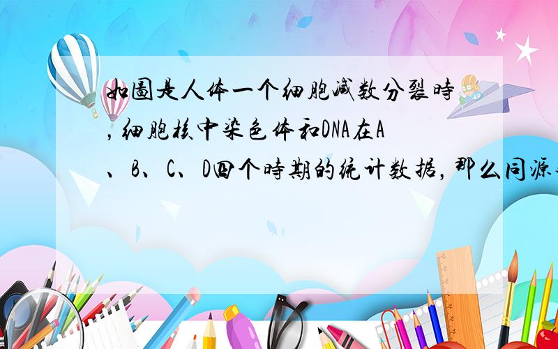 如图是人体一个细胞减数分裂时，细胞核中染色体和DNA在A、B、C、D四个时期的统计数据，那么同源染色体分离发生在（　　）