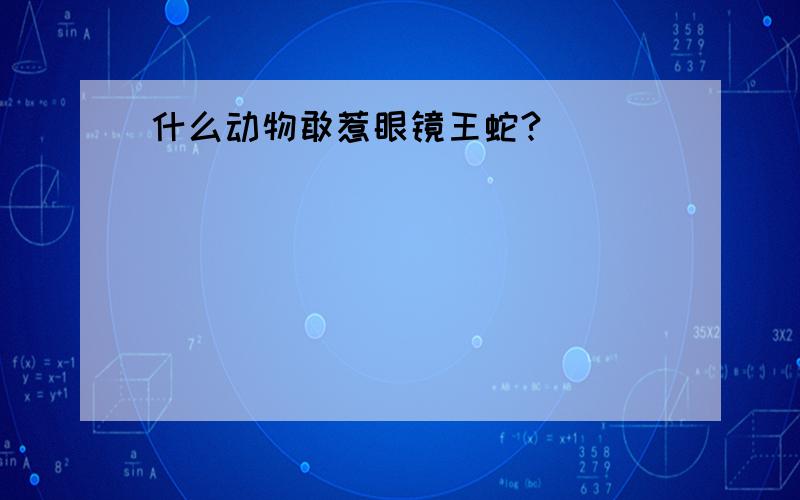 什么动物敢惹眼镜王蛇?