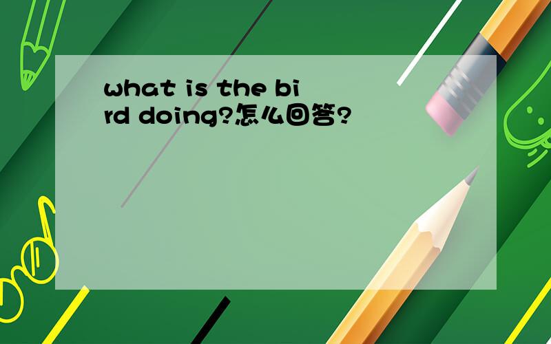 what is the bird doing?怎么回答?