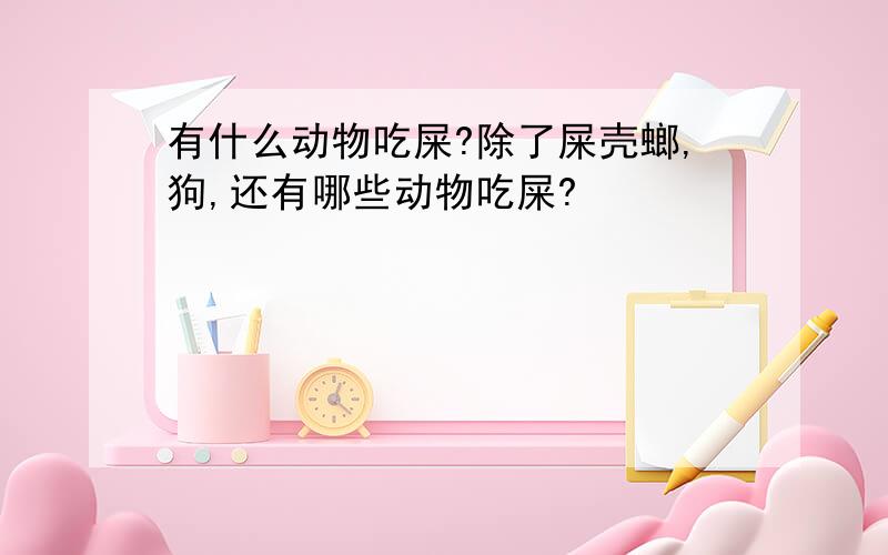 有什么动物吃屎?除了屎壳螂,狗,还有哪些动物吃屎?