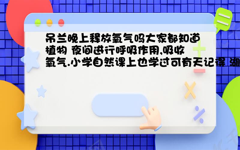 吊兰晚上释放氧气吗大家都知道植物 夜间进行呼吸作用,吸收氧气.小学自然课上也学过可有天记得 湖南台百科全说 上说过吊兰晚