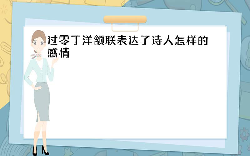 过零丁洋颔联表达了诗人怎样的感情