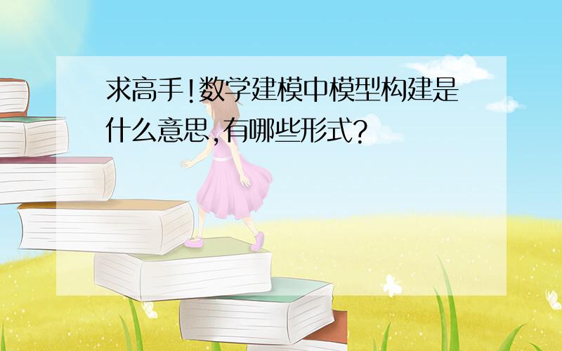 求高手!数学建模中模型构建是什么意思,有哪些形式?