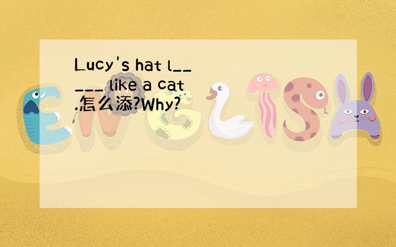 Lucy's hat l_____ like a cat.怎么添?Why?