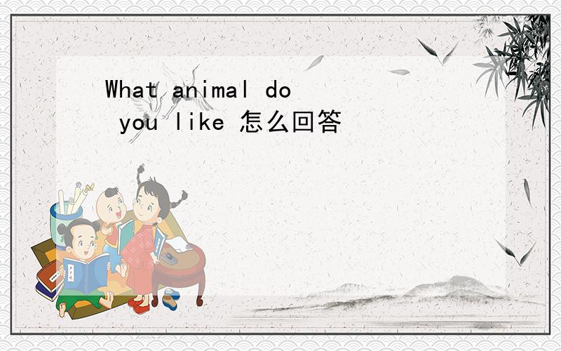 What animal do you like 怎么回答