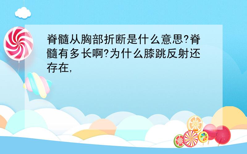 脊髓从胸部折断是什么意思?脊髓有多长啊?为什么膝跳反射还存在,