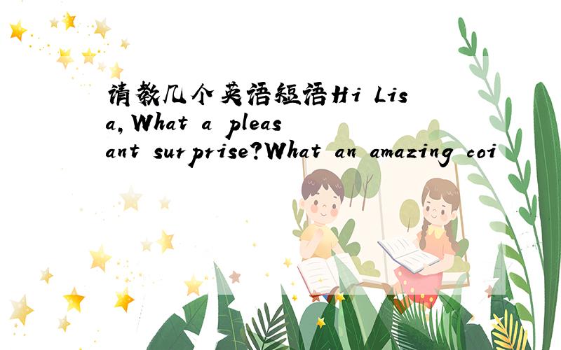 请教几个英语短语Hi Lisa,What a pleasant surprise?What an amazing coi