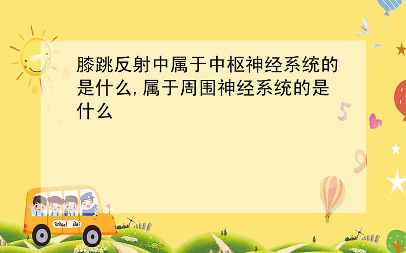 膝跳反射中属于中枢神经系统的是什么,属于周围神经系统的是什么