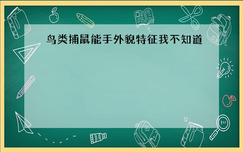 鸟类捕鼠能手外貌特征我不知道