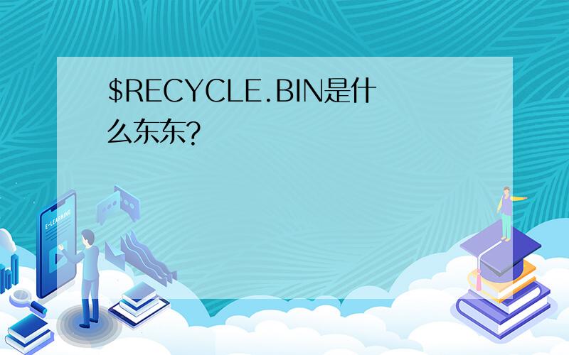 $RECYCLE.BIN是什么东东?