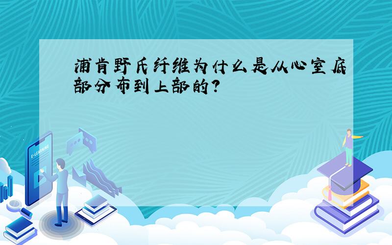 浦肯野氏纤维为什么是从心室底部分布到上部的?