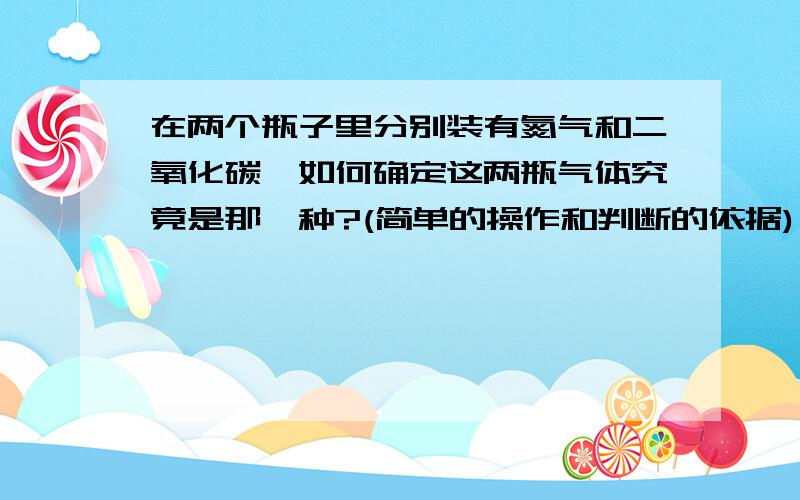 在两个瓶子里分别装有氮气和二氧化碳,如何确定这两瓶气体究竟是那一种?(简单的操作和判断的依据)