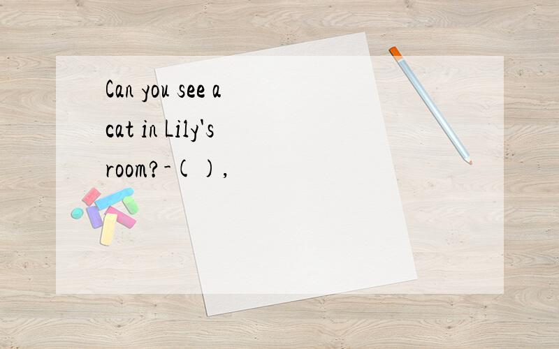 Can you see a cat in Lily's room?-(),