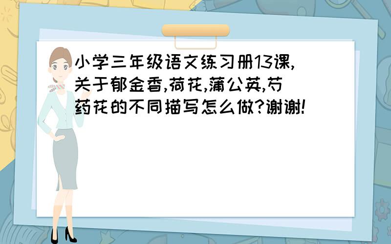 小学三年级语文练习册13课,关于郁金香,荷花,蒲公英,芍药花的不同描写怎么做?谢谢!