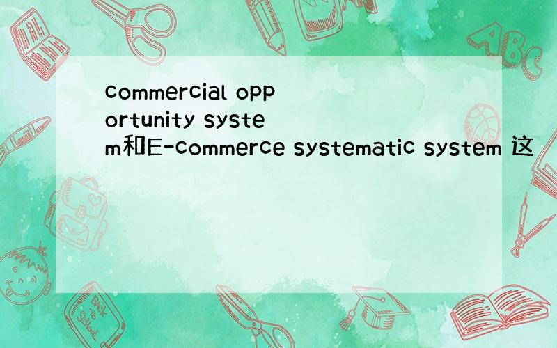 commercial opportunity system和E-commerce systematic system 这