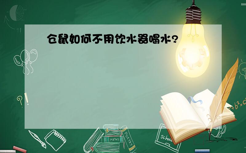 仓鼠如何不用饮水器喝水?