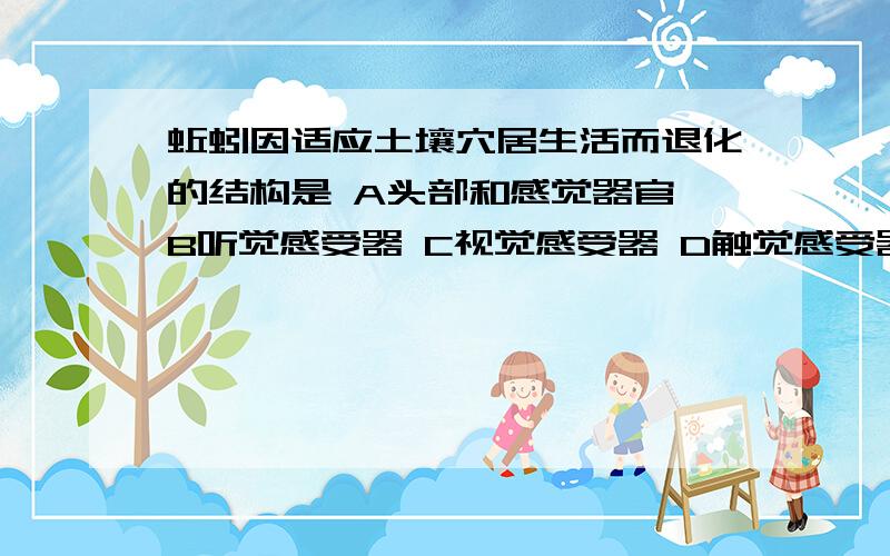 蚯蚓因适应土壤穴居生活而退化的结构是 A头部和感觉器官 B听觉感受器 C视觉感受器 D触觉感受器