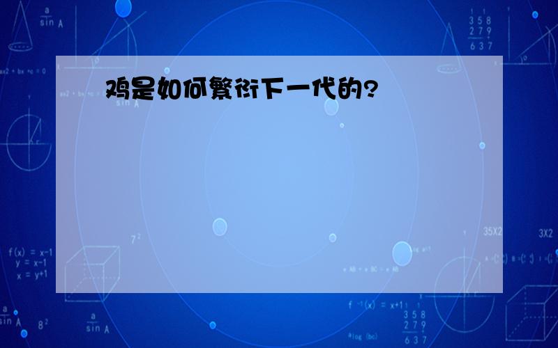 鸡是如何繁衍下一代的?