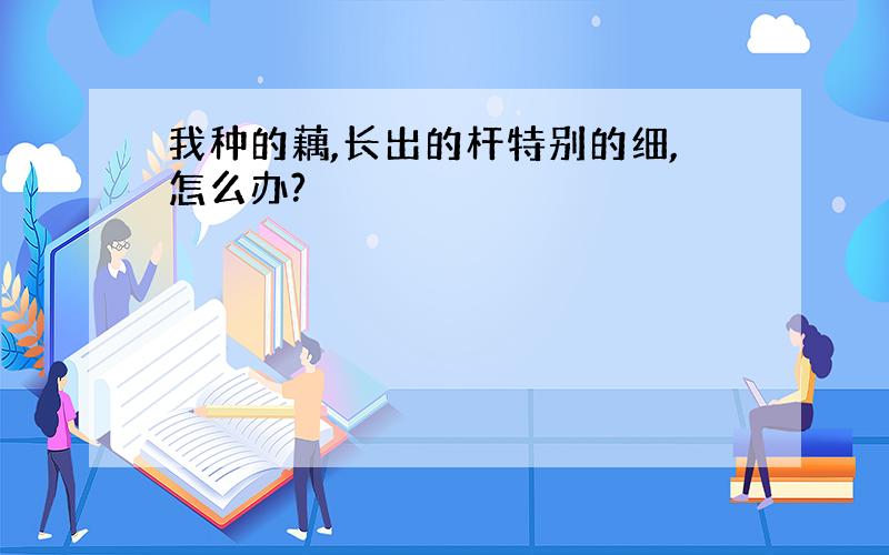 我种的藕,长出的杆特别的细,怎么办?