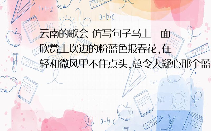 云南的歌会 仿写句子马上一面欣赏土坎边的粉蓝色报春花,在轻和微风里不住点头,总令人疑心那个蓝色竟像是有意模仿天空而成的.