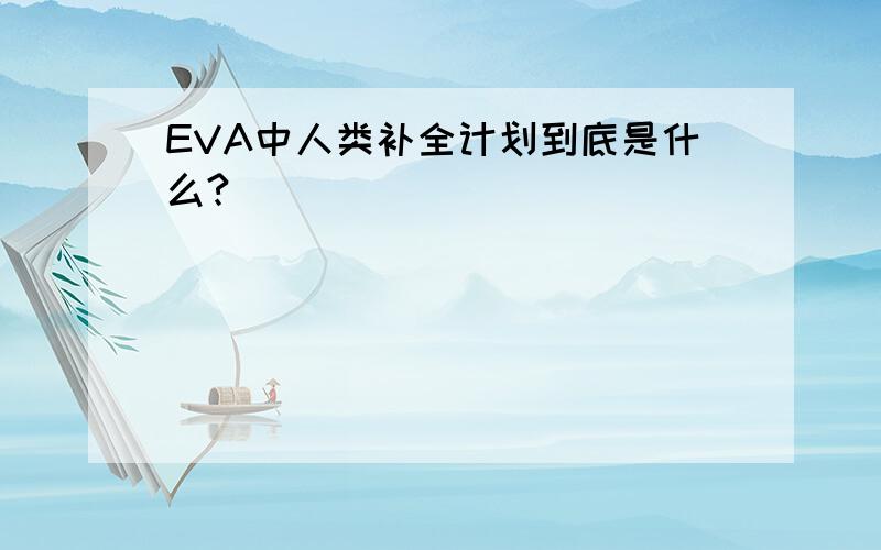 EVA中人类补全计划到底是什么?