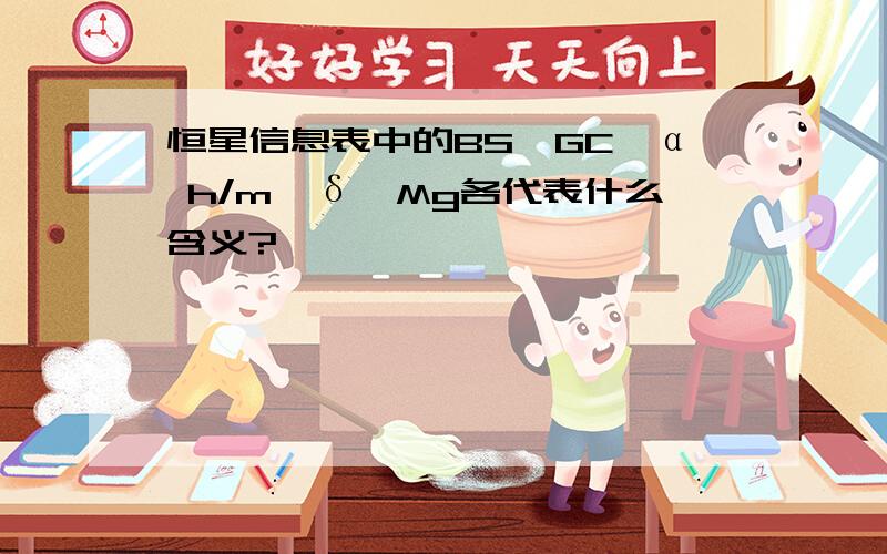 恒星信息表中的BS、GC、α h/m、δ、Mg各代表什么含义?