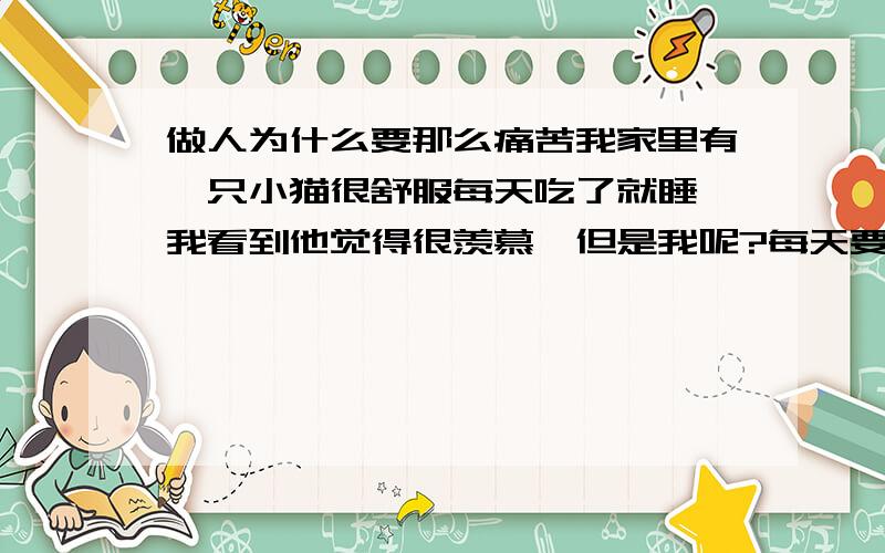 做人为什么要那么痛苦我家里有一只小猫很舒服每天吃了就睡,我看到他觉得很羡慕,但是我呢?每天要上班累死了,而且还得了过敏鼻