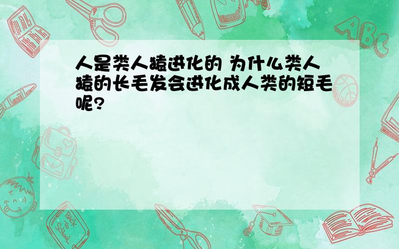 人是类人猿进化的 为什么类人猿的长毛发会进化成人类的短毛呢?