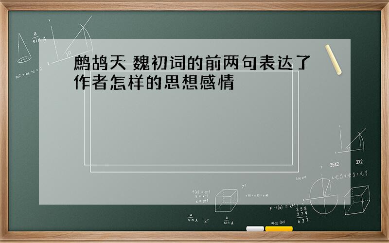 鹧鸪天 魏初词的前两句表达了作者怎样的思想感情